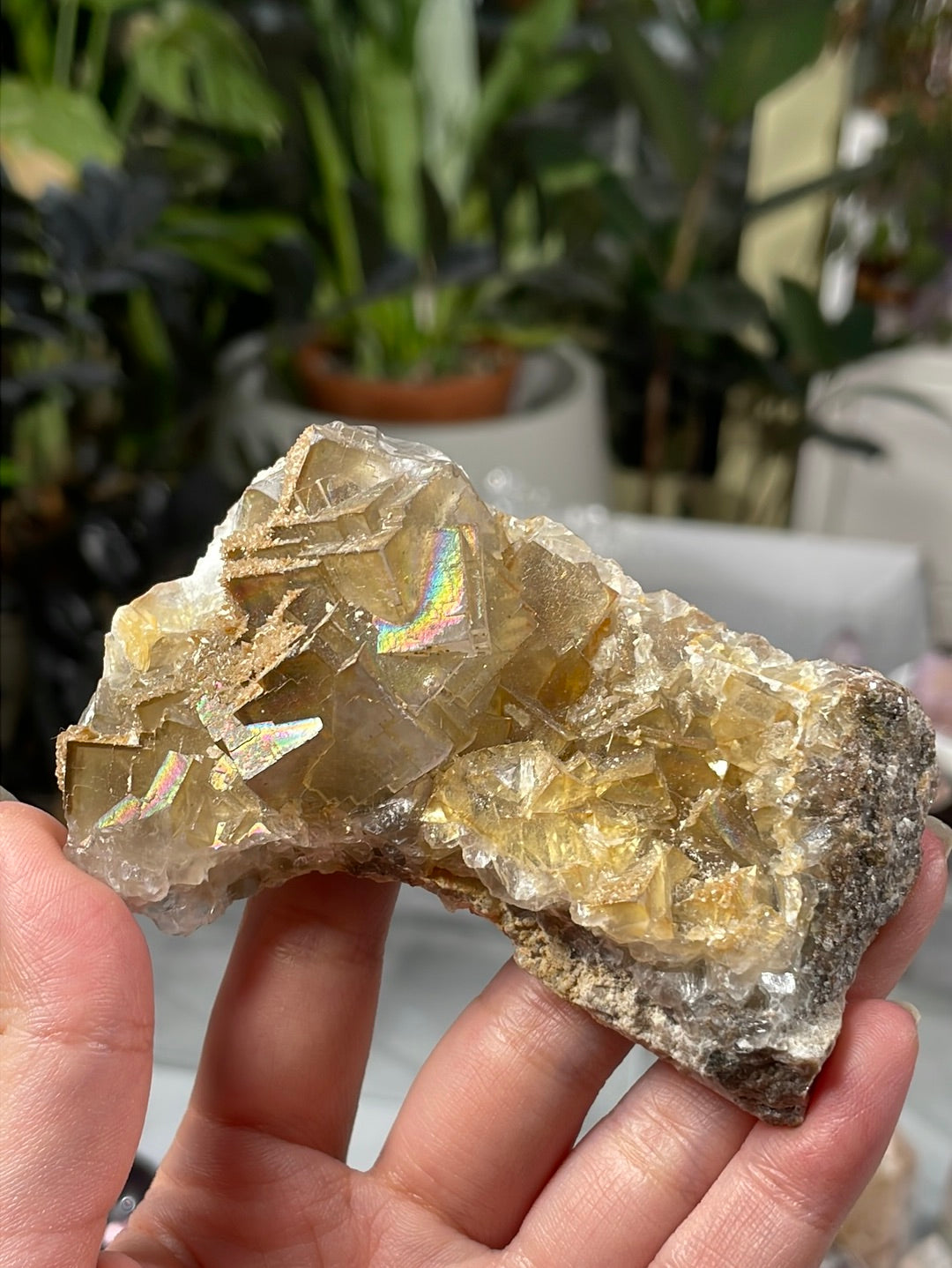 Listing for @sammerss