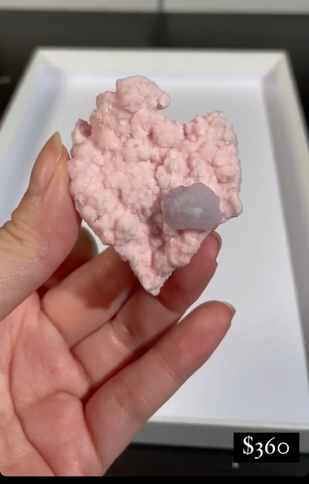 Listing for @wildsoulminerals