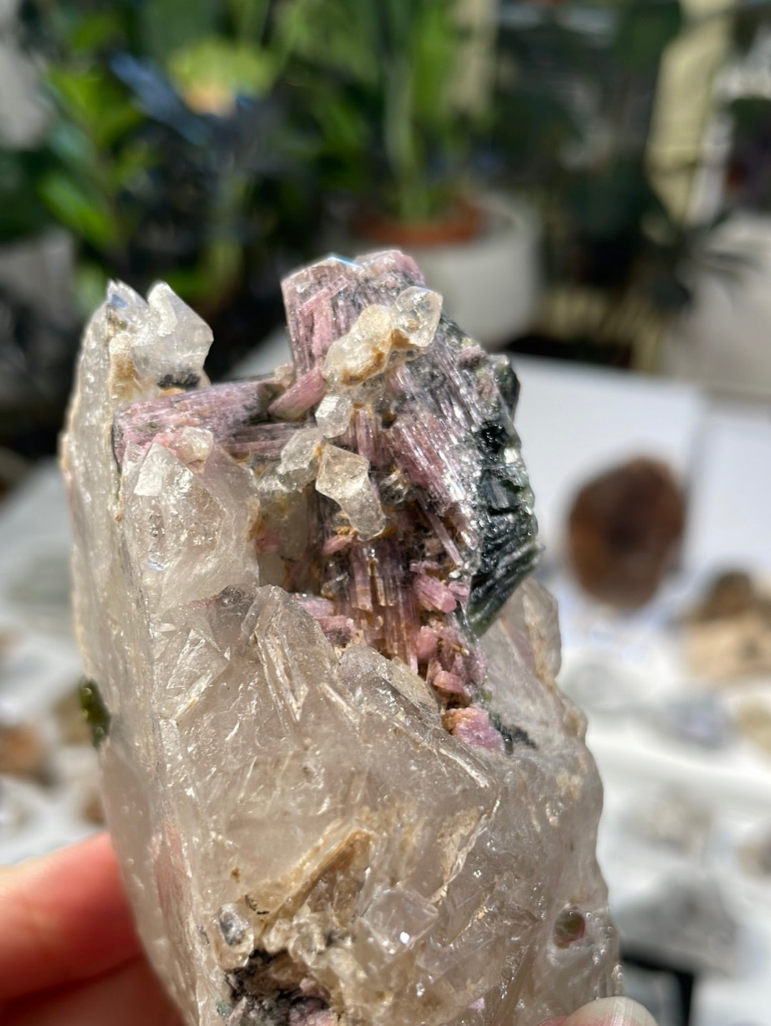 Listing for @rose_ly48