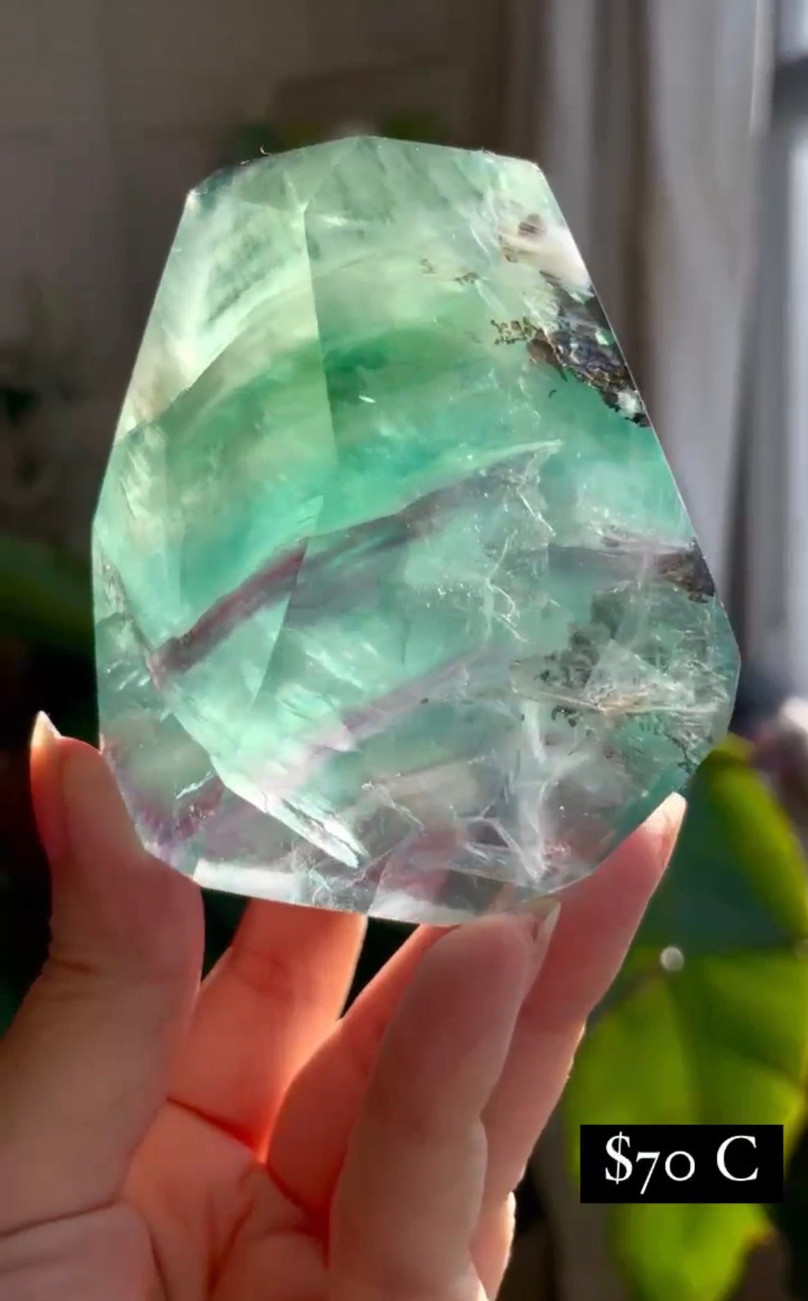 Listing for @melissamigliano