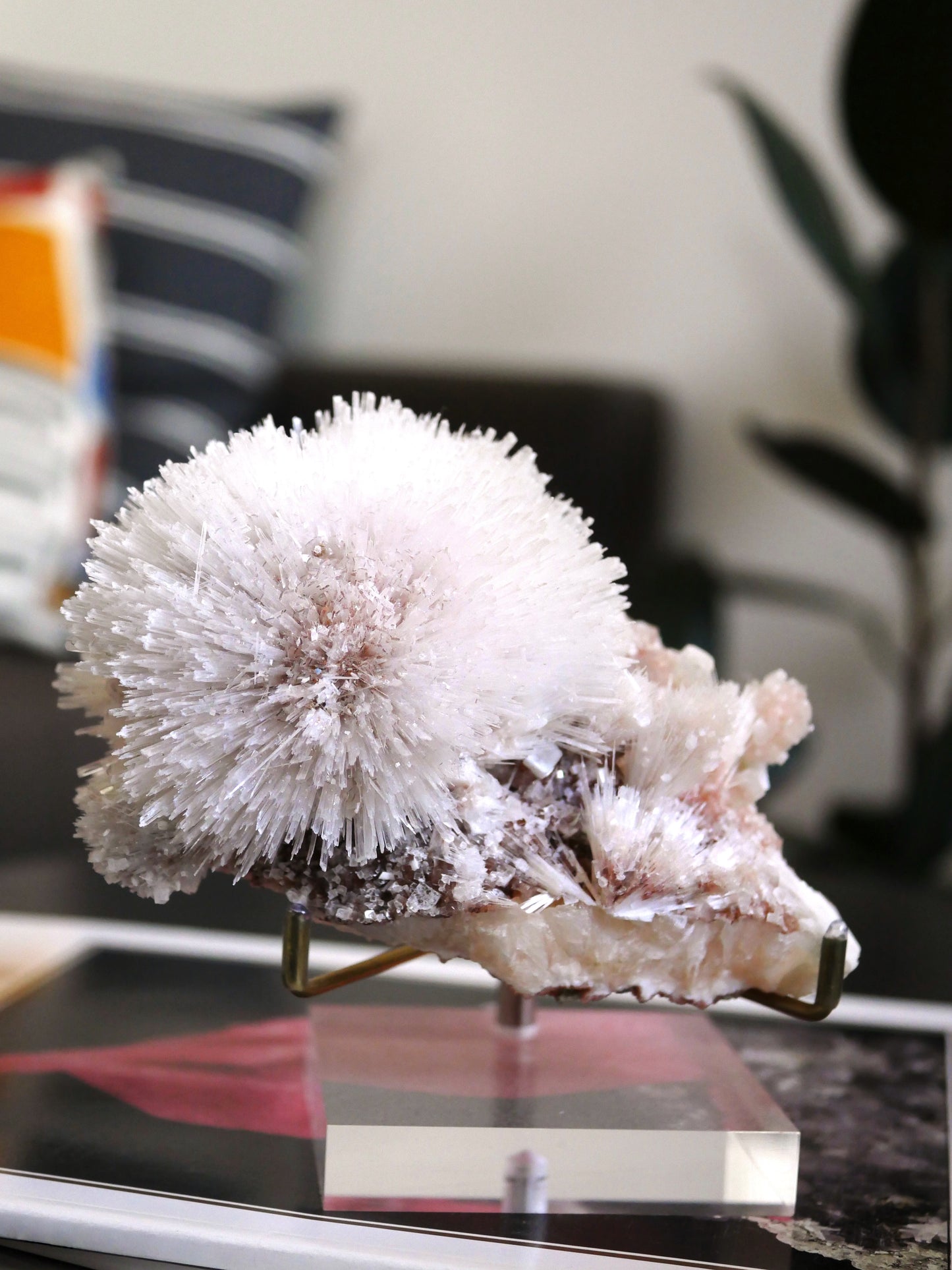 Listing for @tasmit15 3/4