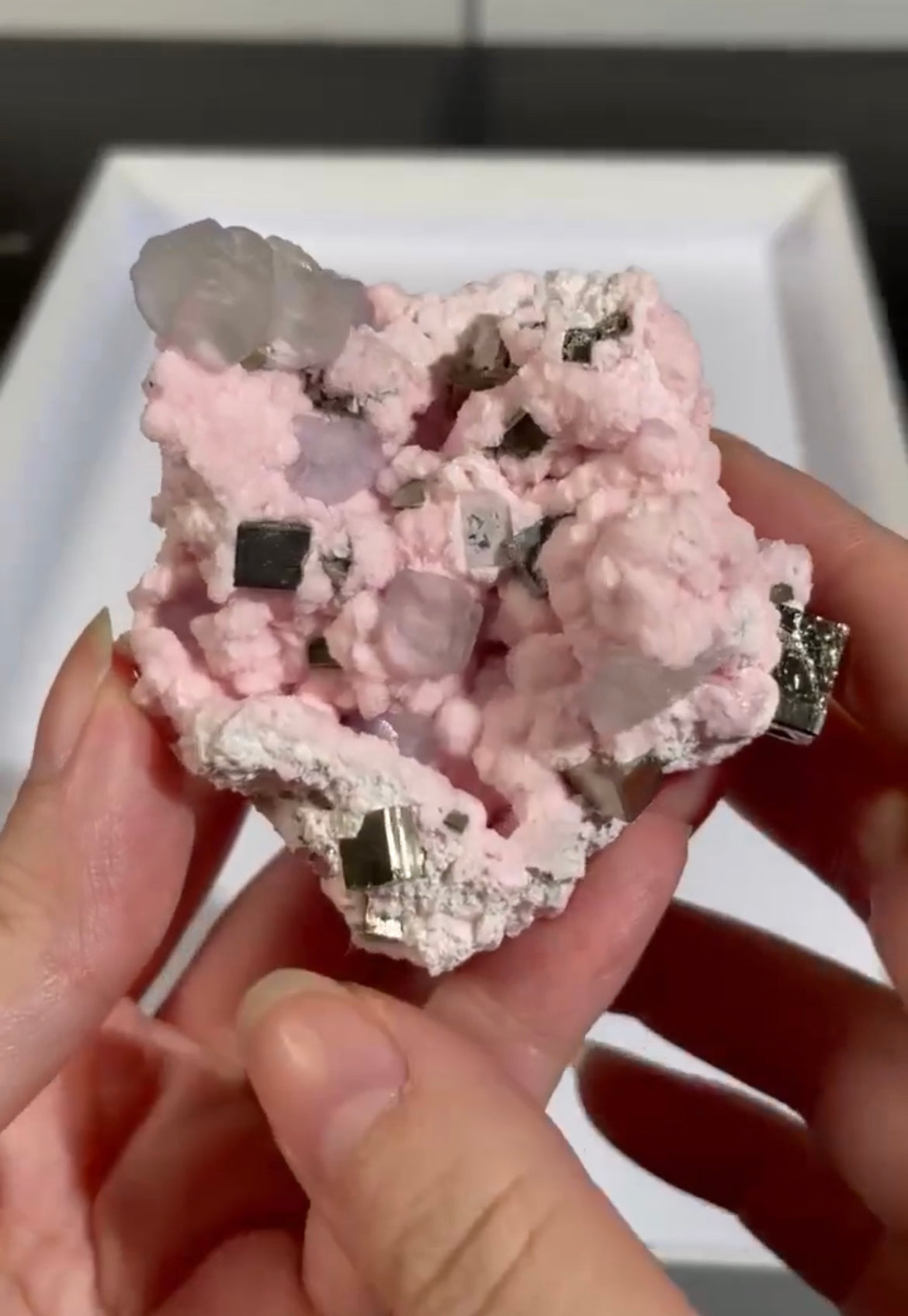 Listing for @sabresdoc 1/6