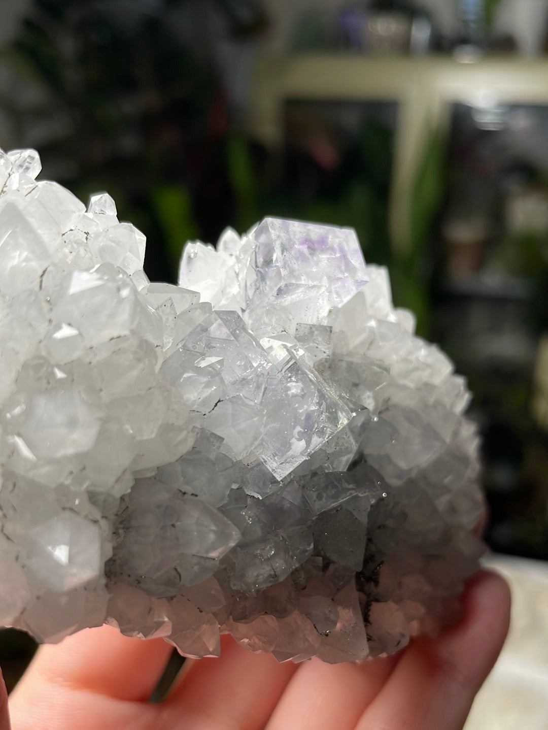 Listing for @misschelsea__