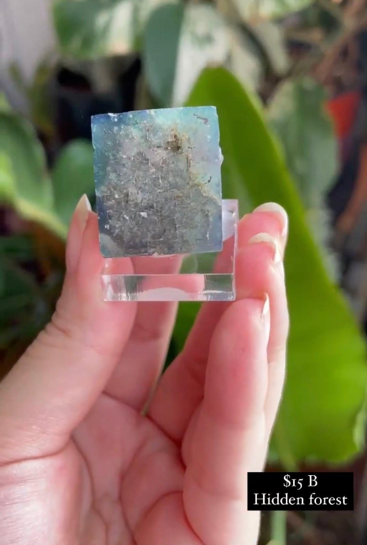 Listing for @shans_fibers