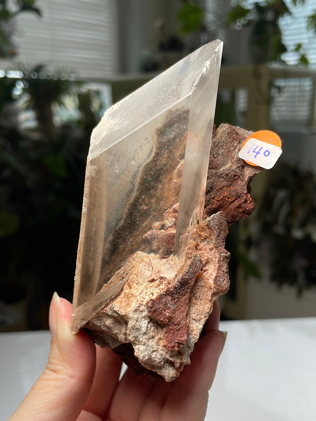 Listing for @todrathbone