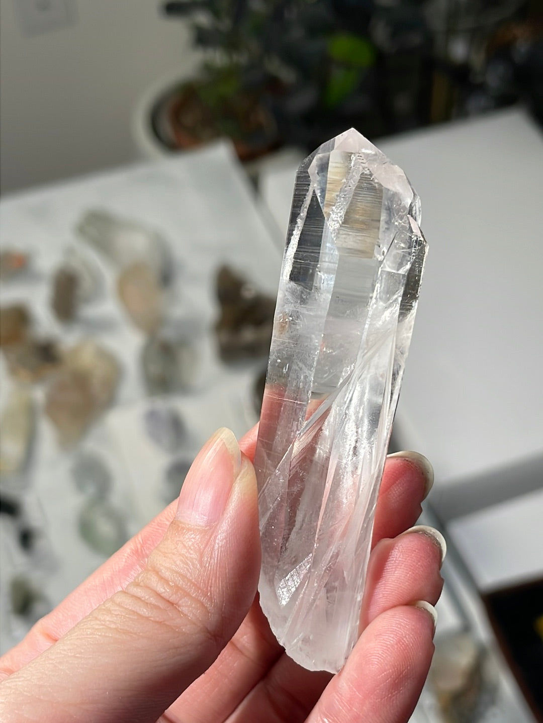 Listing for @playnourishexploreplus