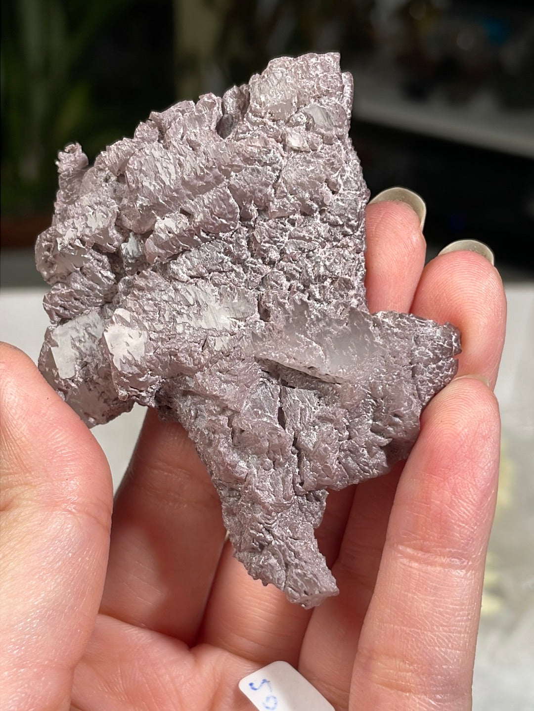 Listing for @thefacetedfern