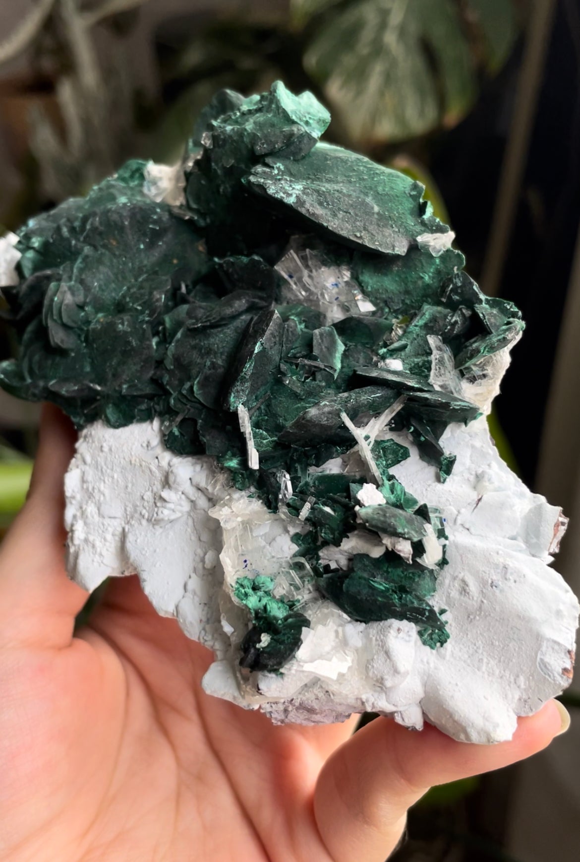 Listing for @mareficentjewels