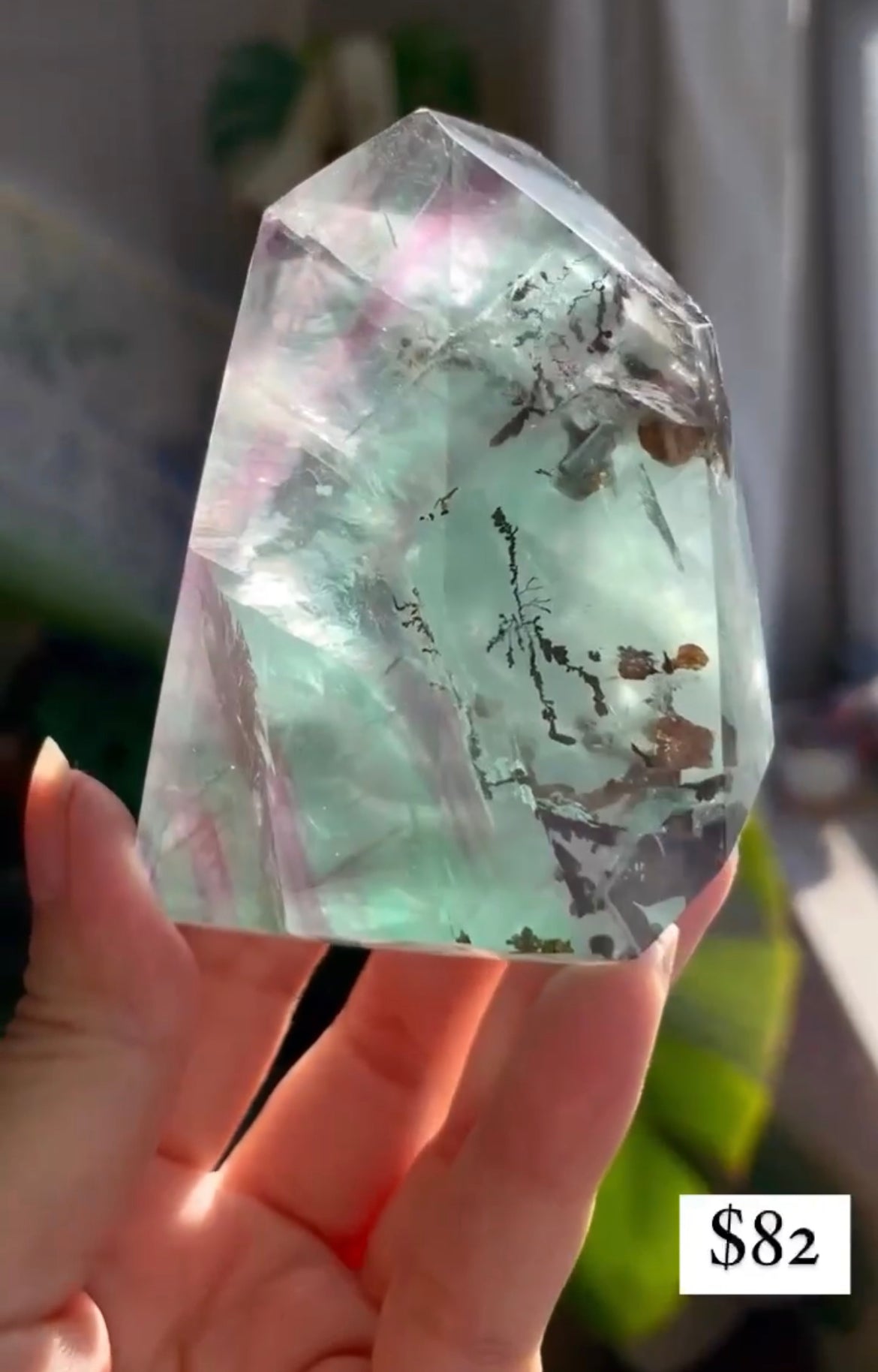 Listing for @marissaleticia