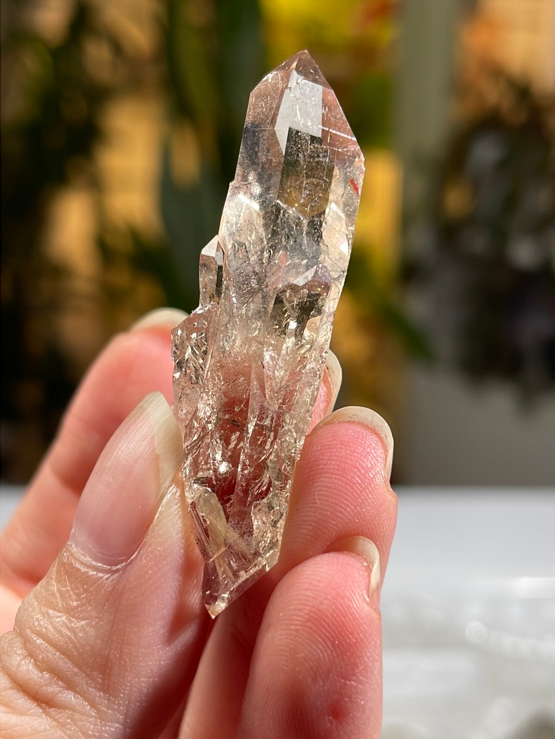 Listing for @misschelsea___