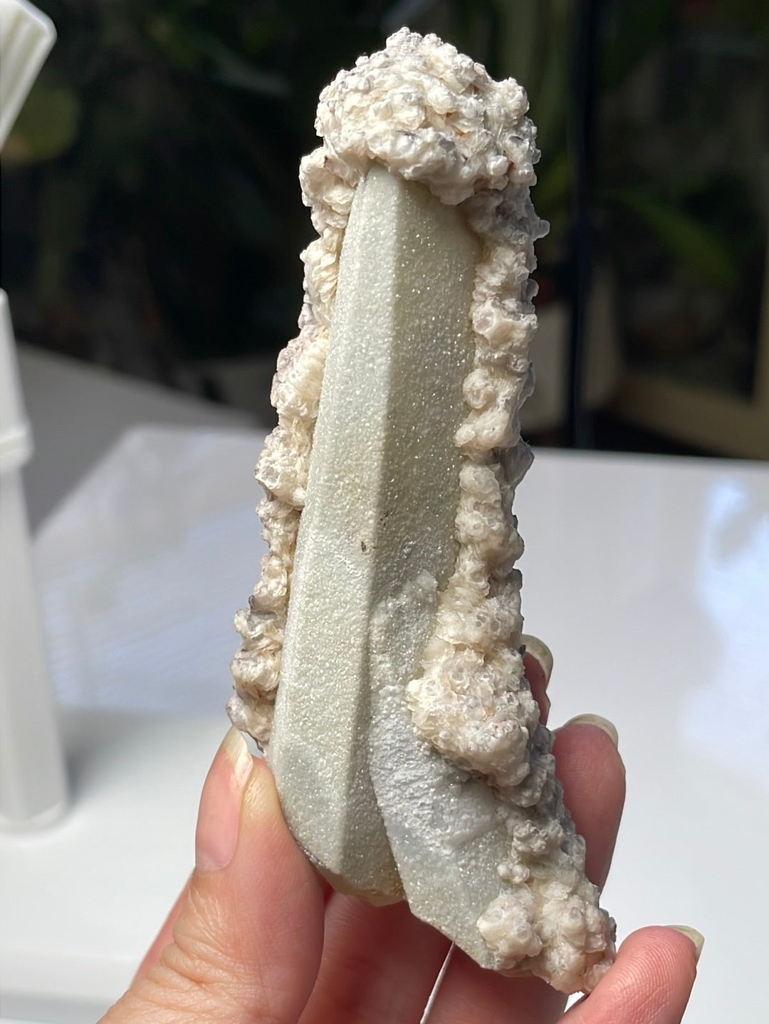 Listing for @missyi.dreams