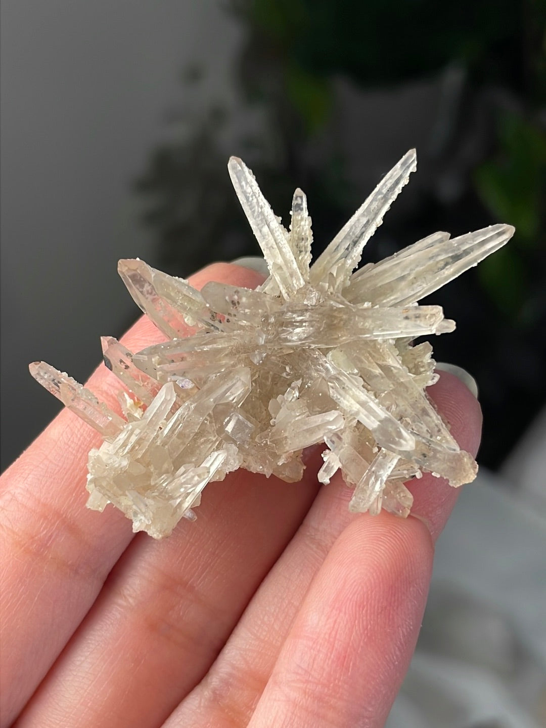 Listing for @notsoclevergirl