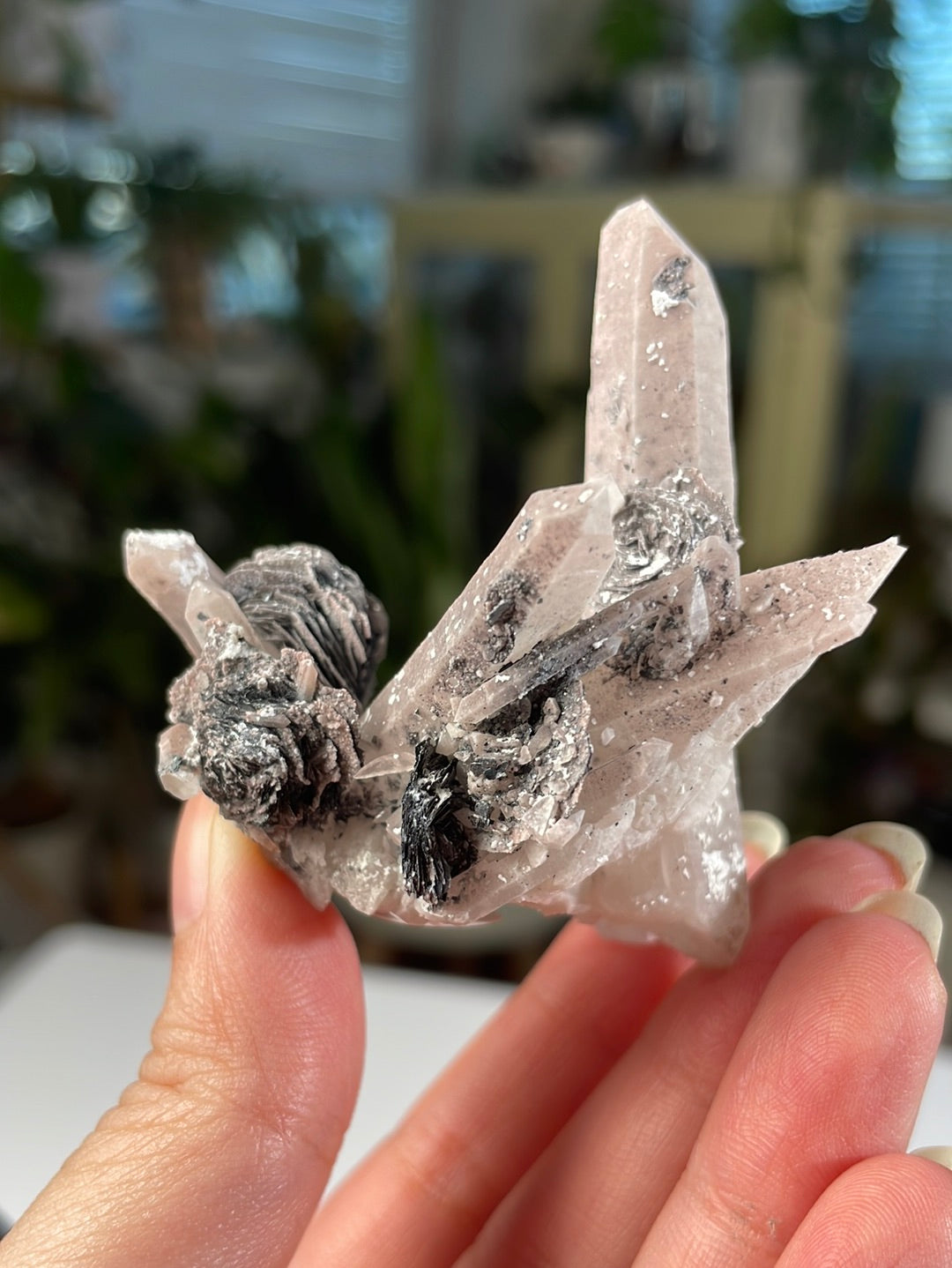 Listing for @shann.sjs