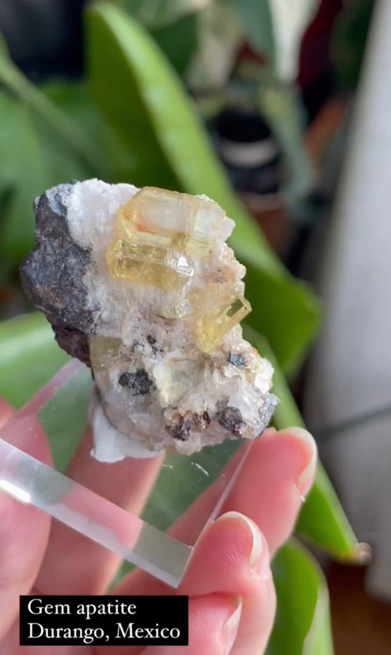 Listing for @louise_cedarwood