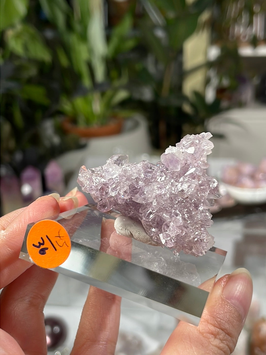 Listing for @whimsngiggles