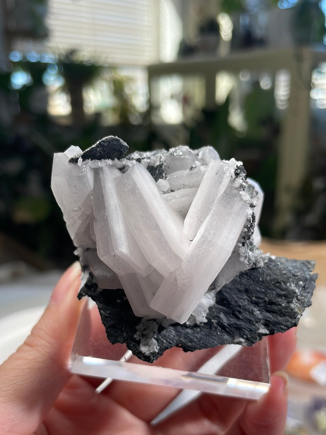 Listing for @rose_ly48