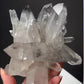 Listing for @queerbirdy