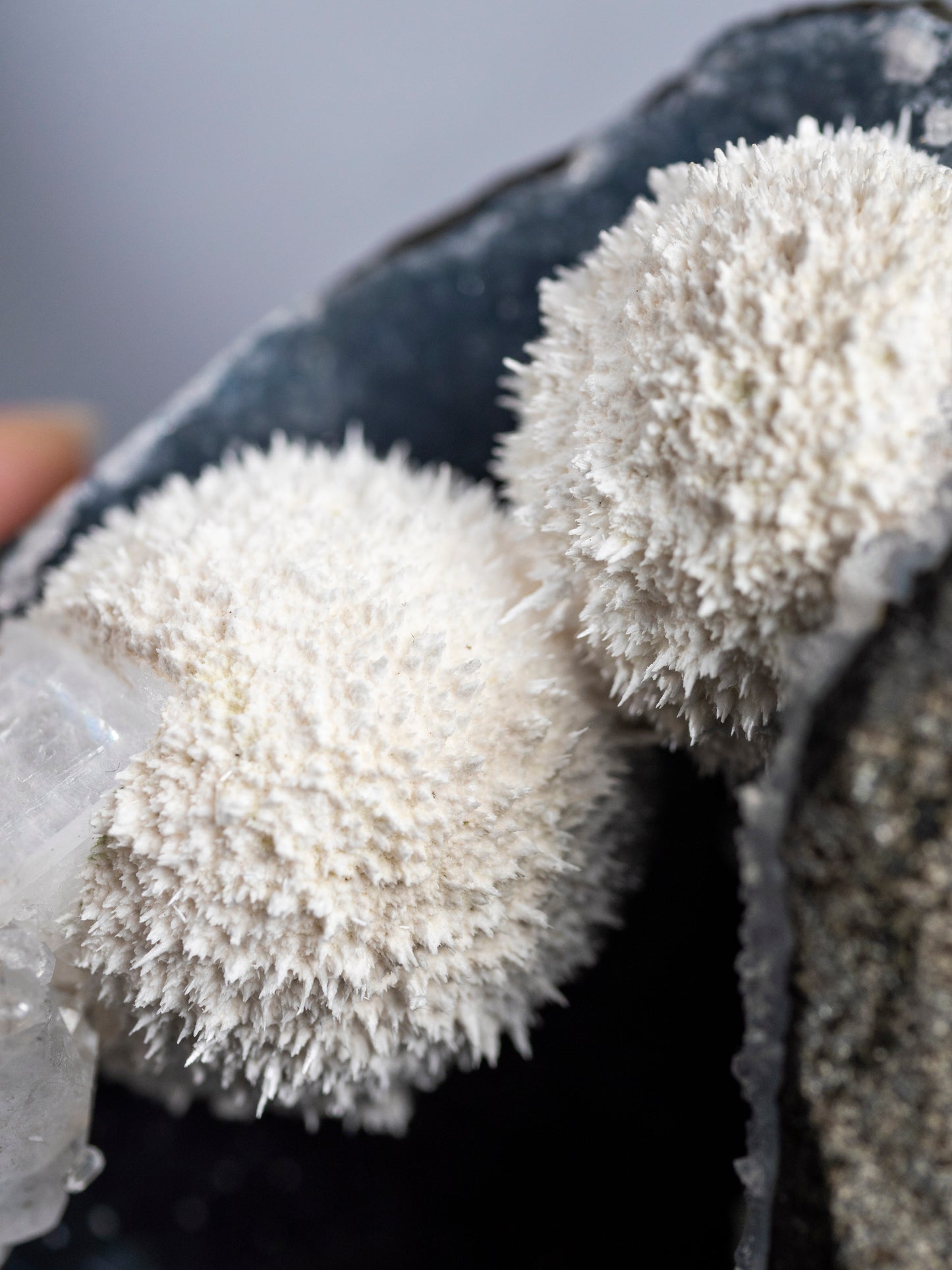 Mordenite, Apophyllite, Blue Chalcedony Geode from India