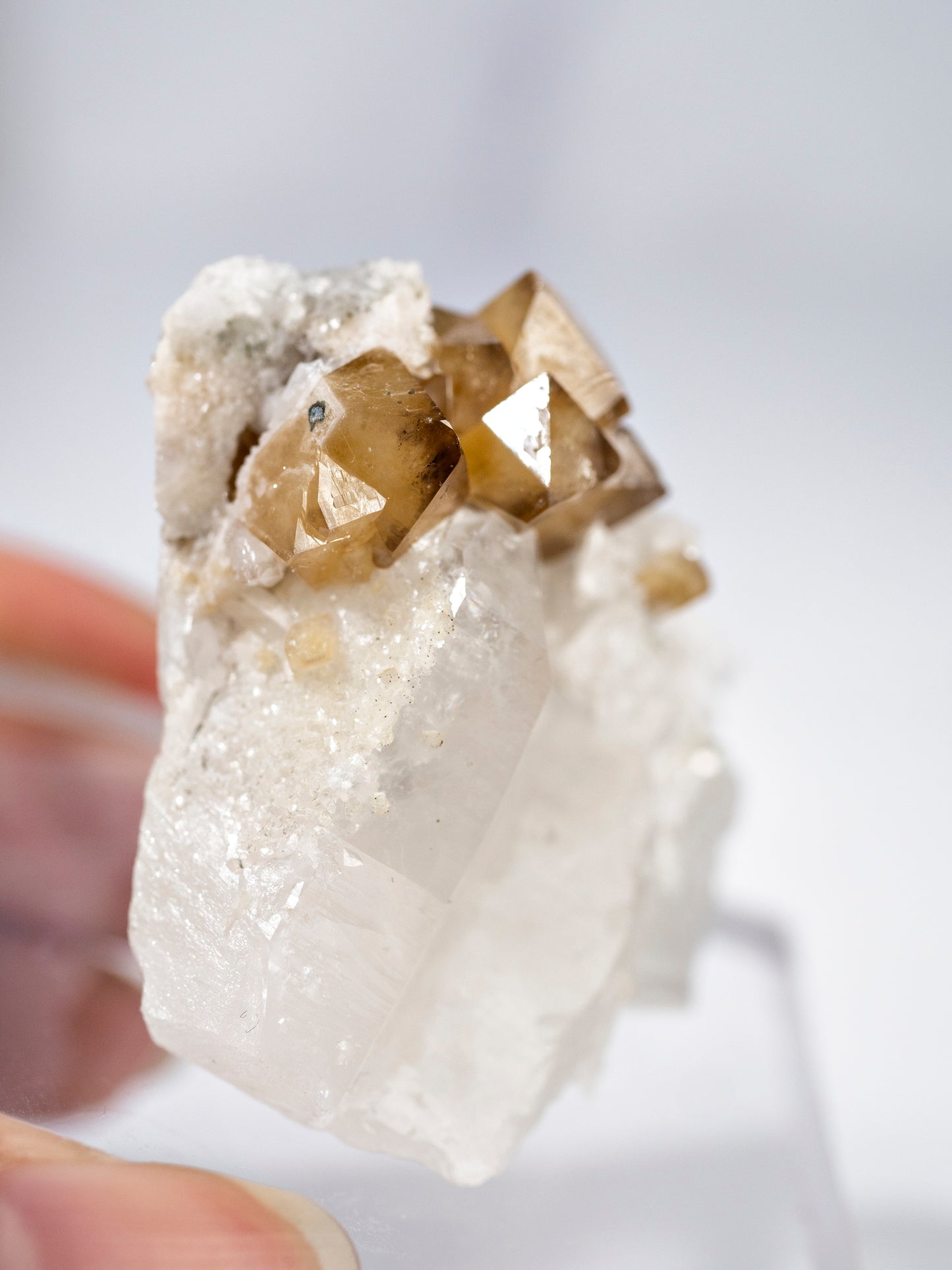 Quartz, Scheelite, Chalcopyrite from Yaogangxian Mine, China