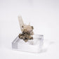 Quartz and Chalcopyrite from Yaogangxian Mine