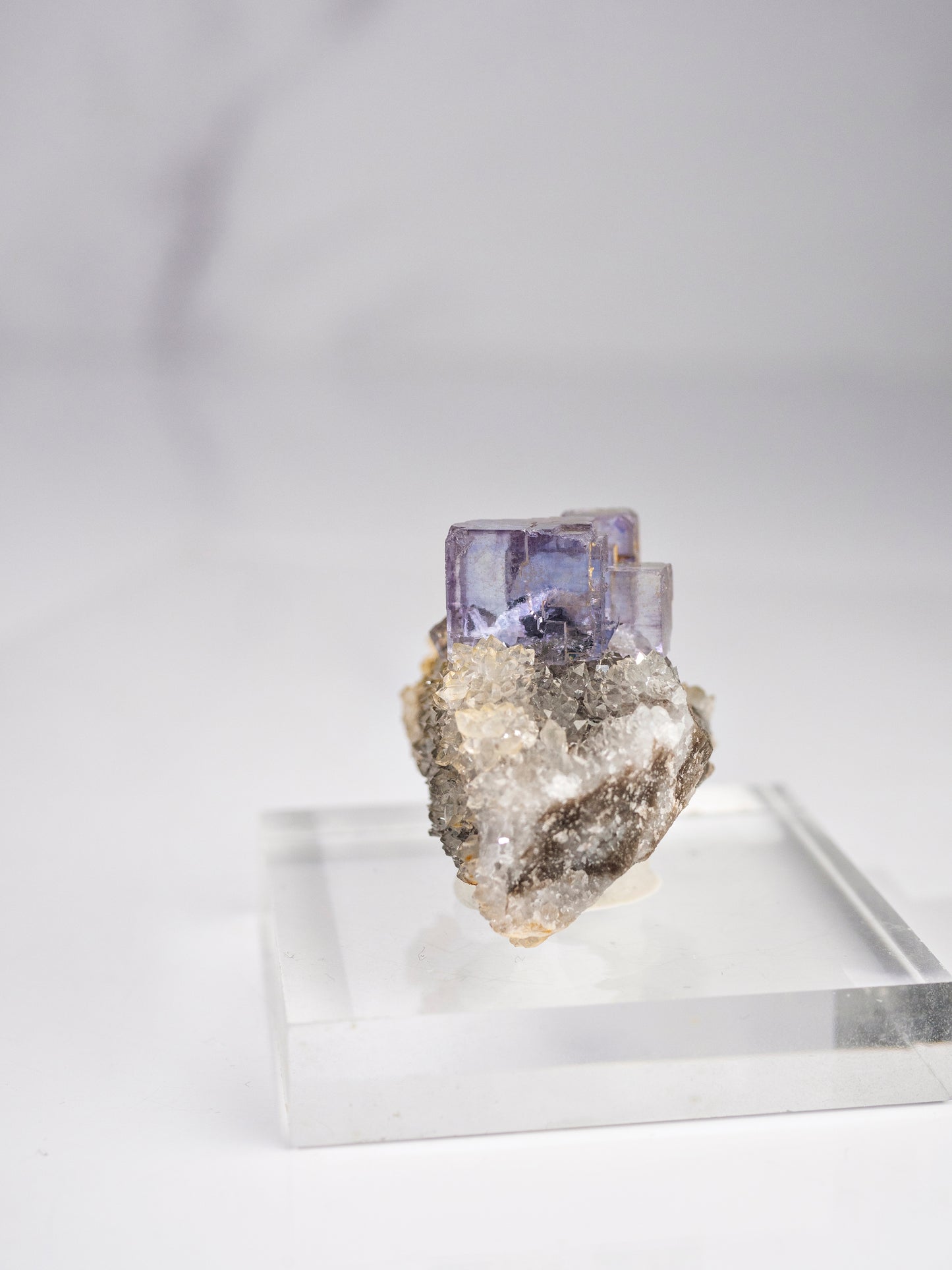 Fluorite and Quartz from La Viesca Mine, Spain