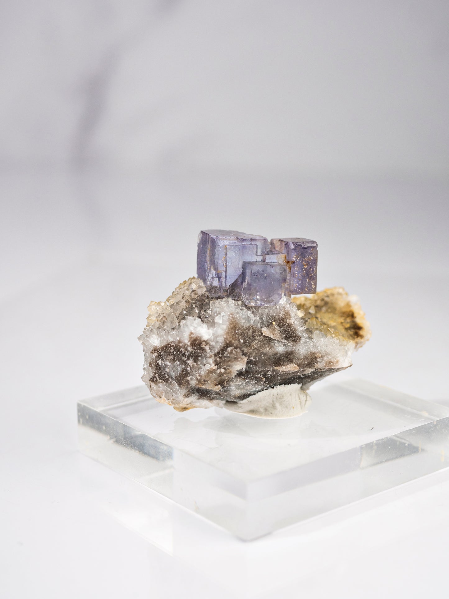 Fluorite and Quartz from La Viesca Mine, Spain