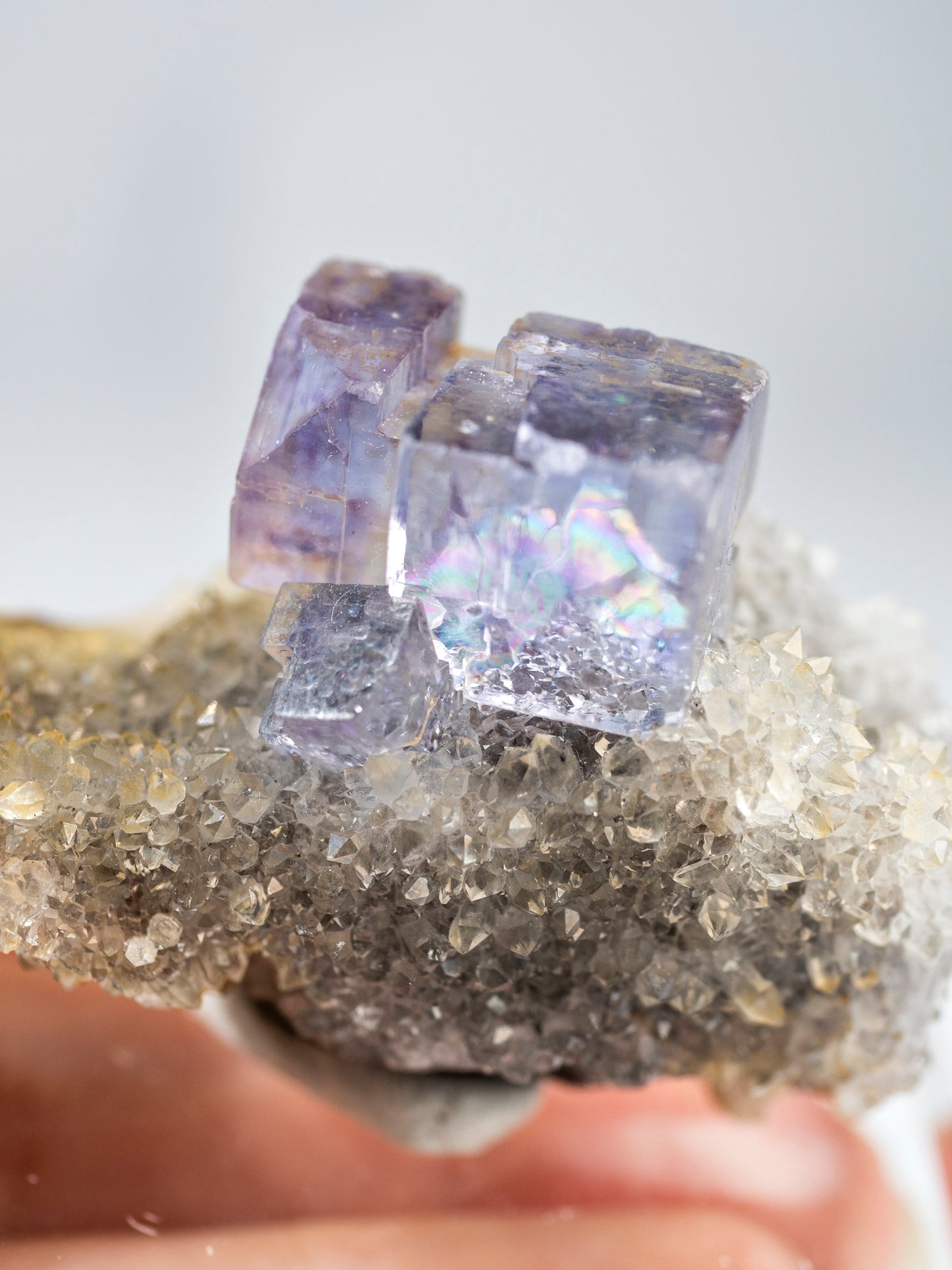 Fluorite and Quartz from La Viesca Mine, Spain