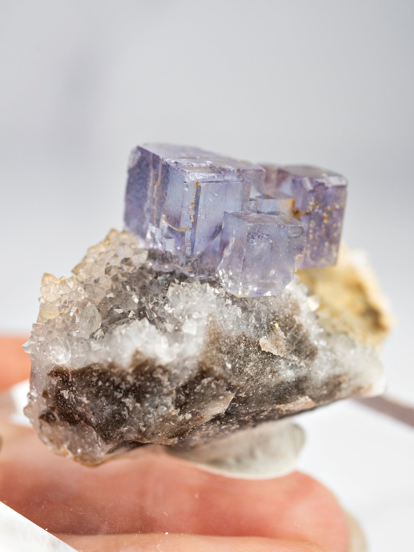 Fluorite and Quartz from La Viesca Mine, Spain