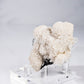 Fluorite, Dolomite, Chalcopyrite, Magnetite, from Xianghualing, China