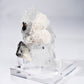 Fluorite, Dolomite, Chalcopyrite, Magnetite, from Xianghualing, China