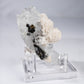 Fluorite, Dolomite, Chalcopyrite, Magnetite, from Xianghualing, China