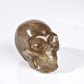 Golden Rutilated Quartz Skull