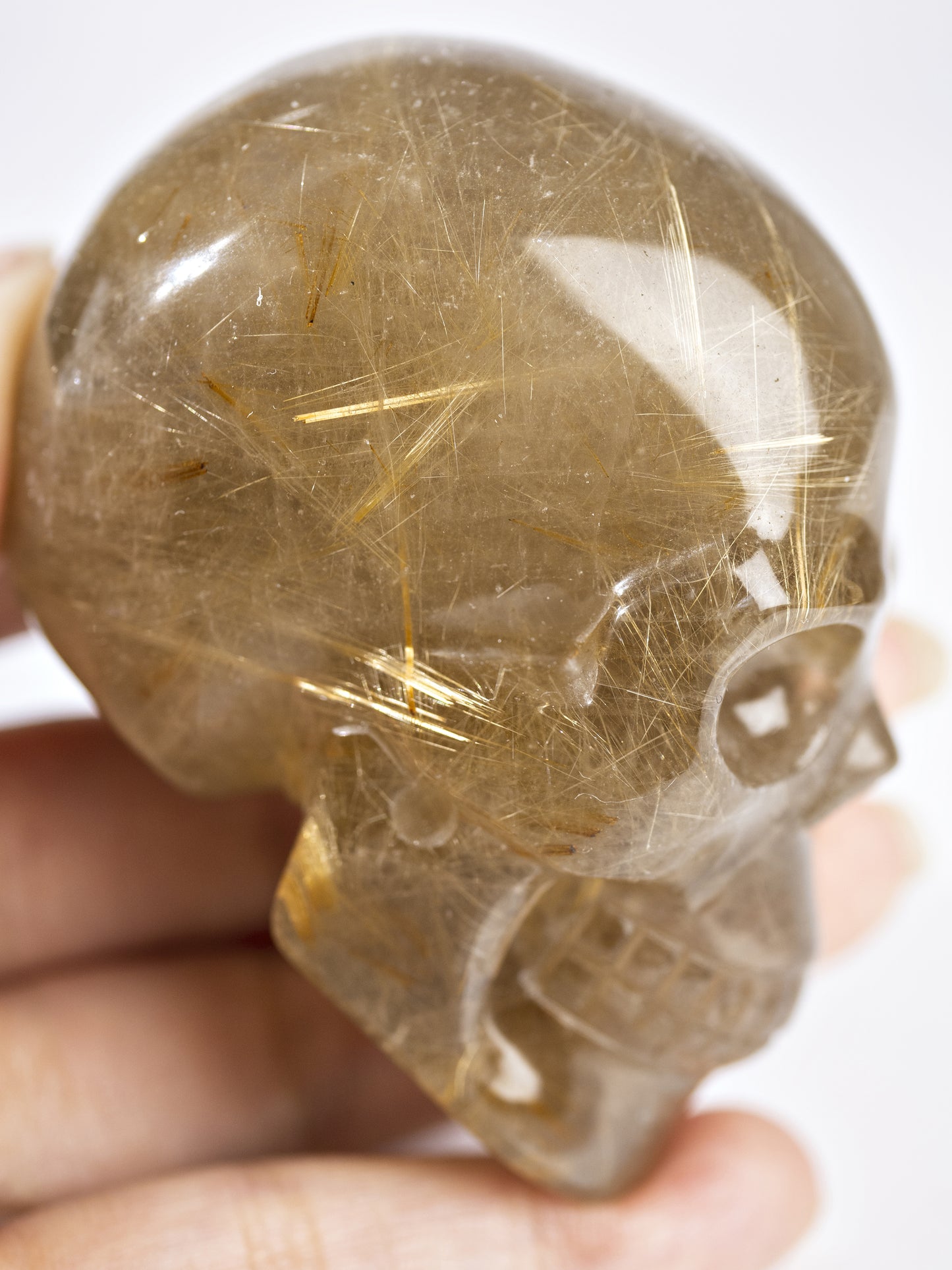 Golden Rutilated Quartz Skull