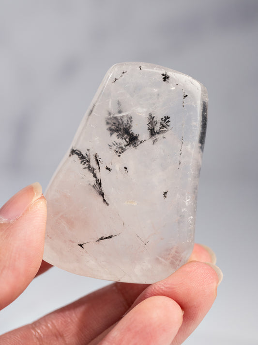 Dendritic Quartz Tumbled Palm Stone