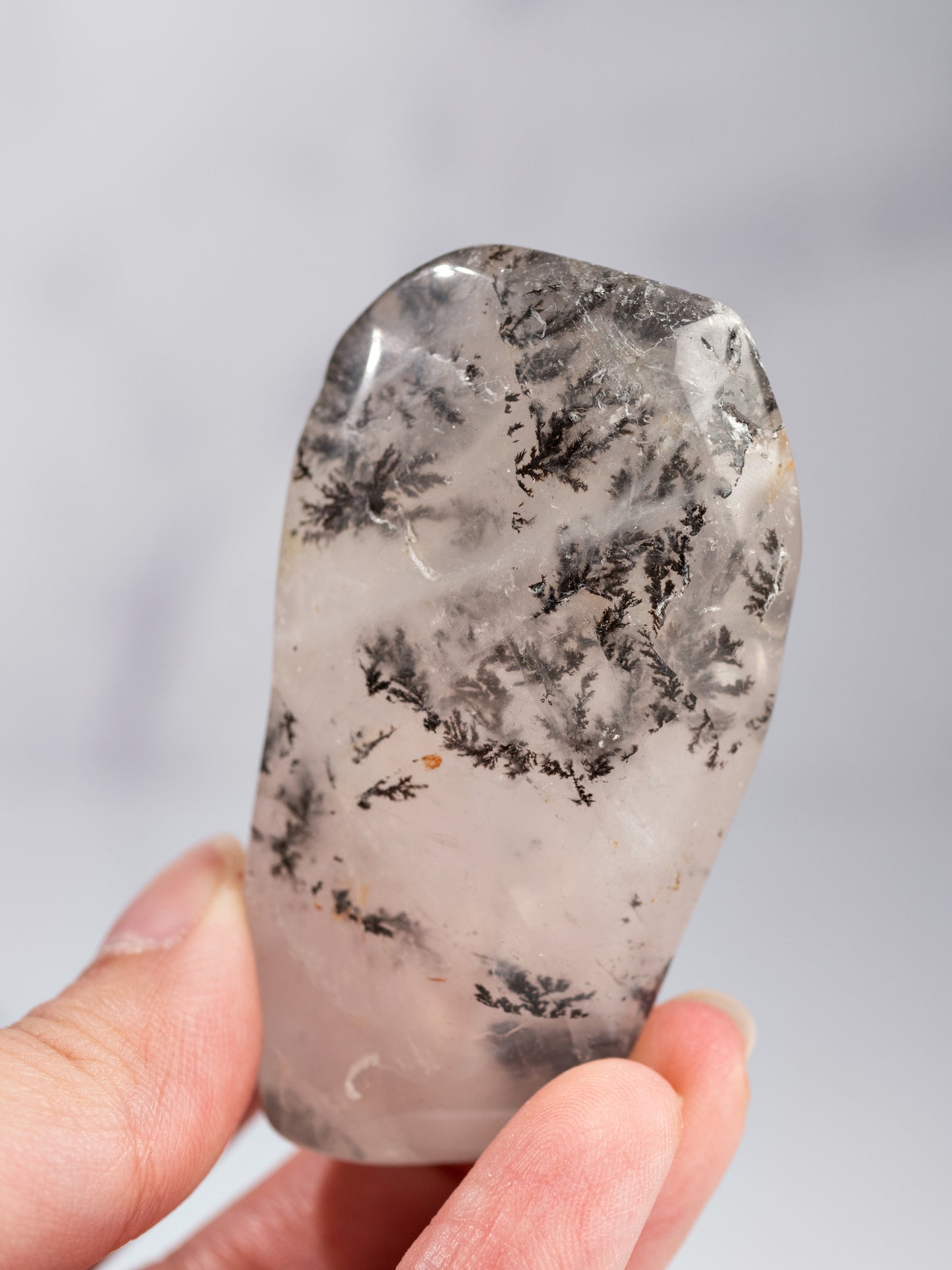 Dendritic Quartz Tumbled Palm Stone