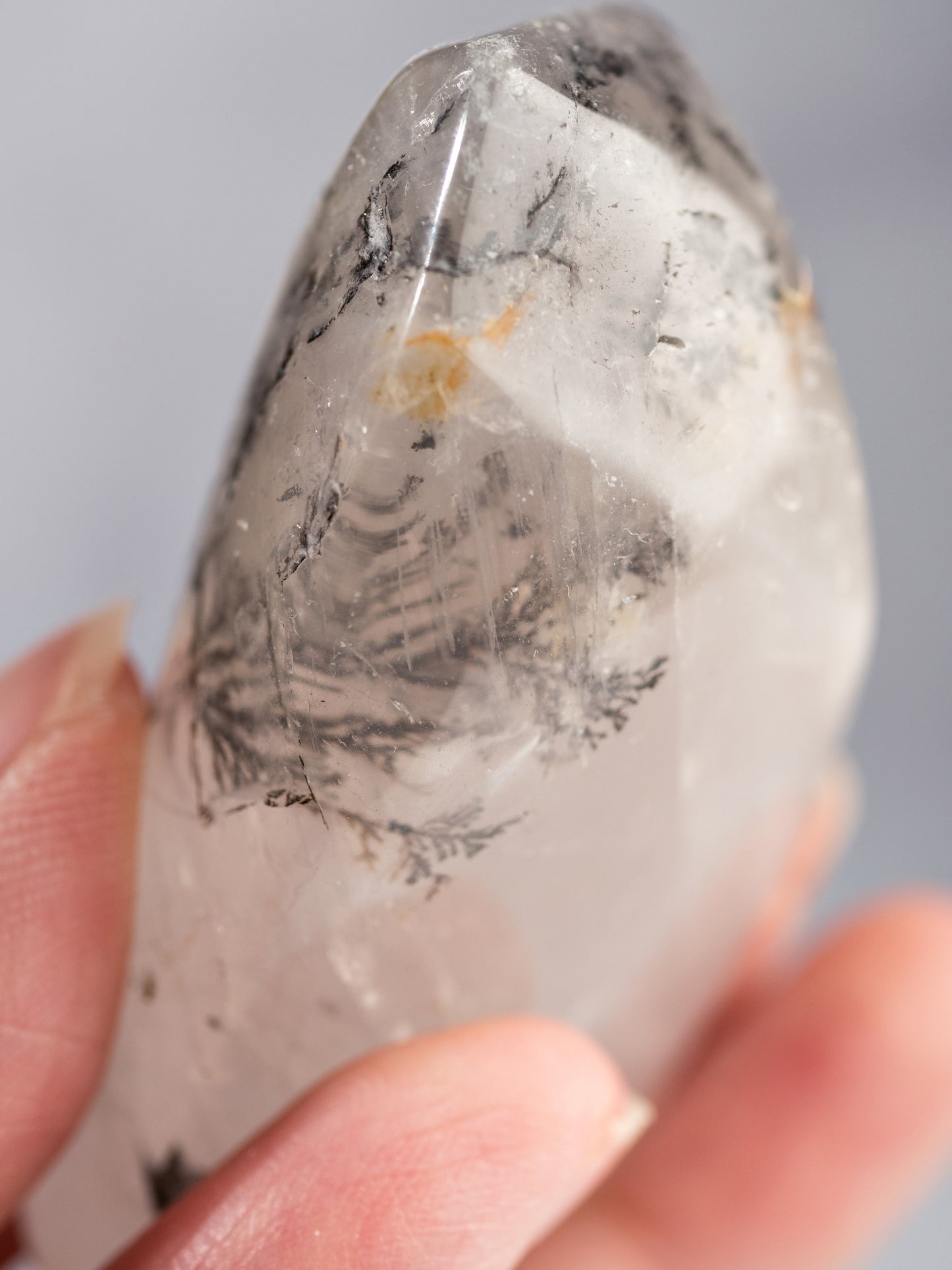 Dendritic Quartz Tumbled Palm Stone