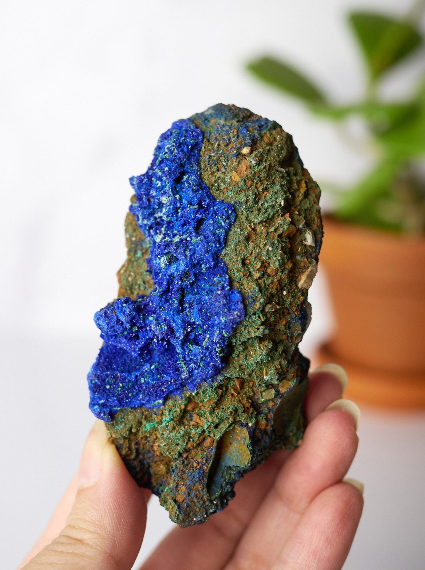 Azurite and Malachite on Matrix