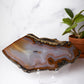 Natural Banded Agate Slab