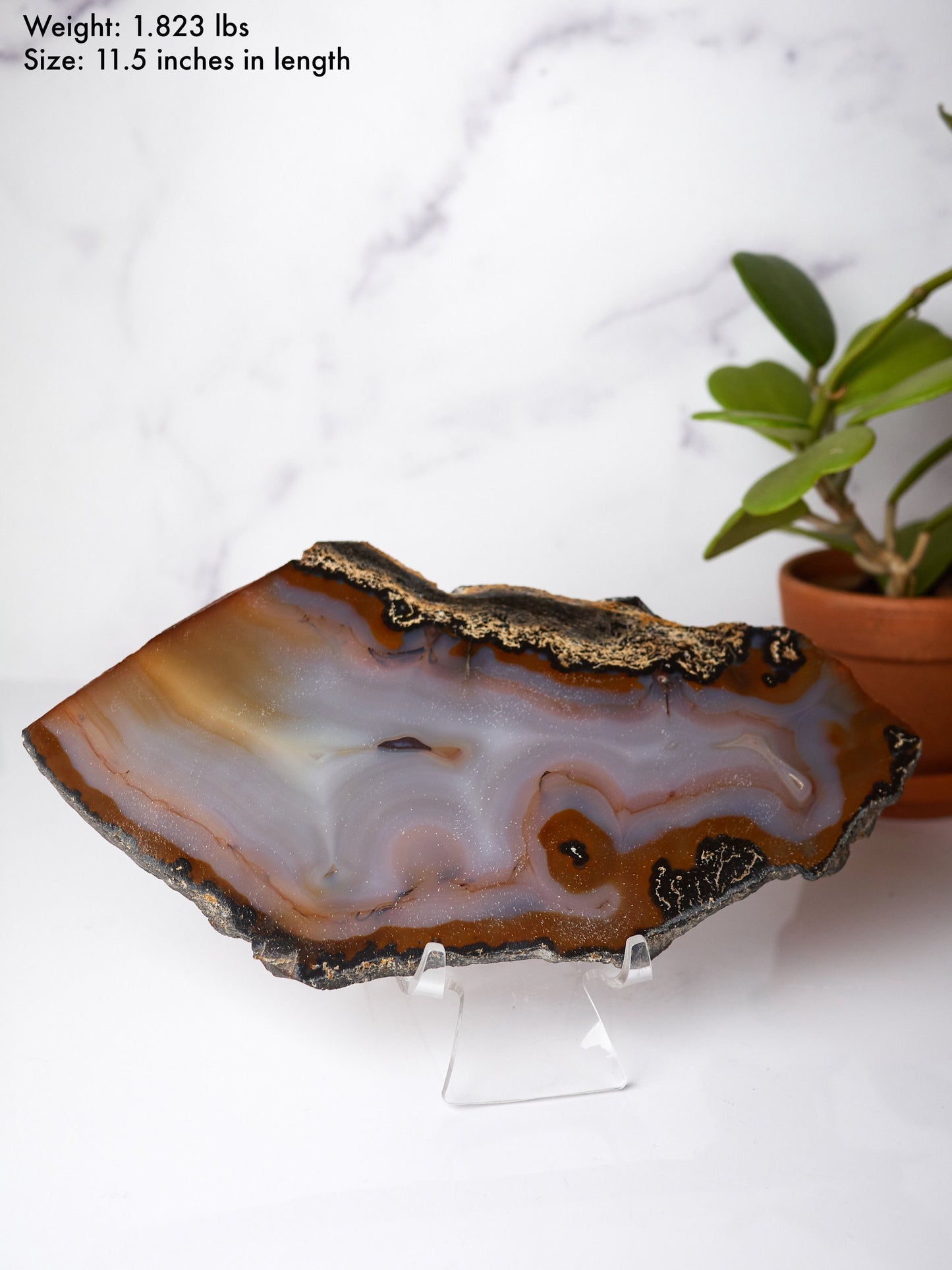 Natural Banded Agate Slab