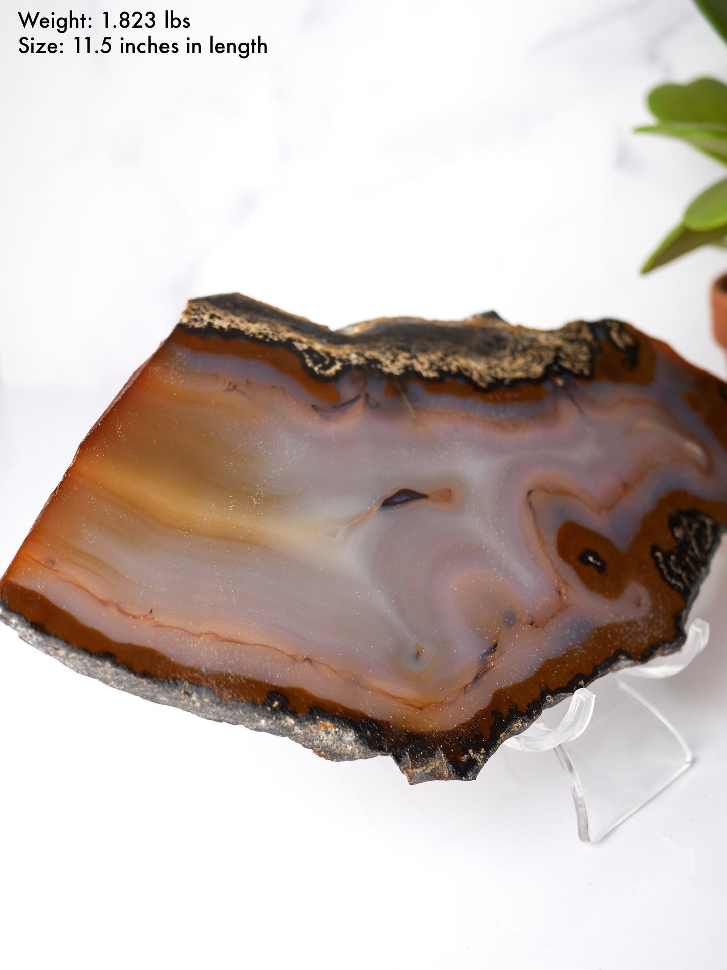 Natural Banded Agate Slab