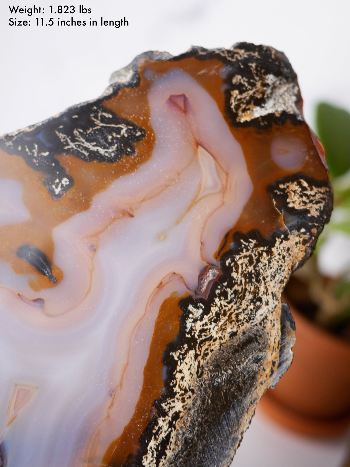 Natural Banded Agate Slab