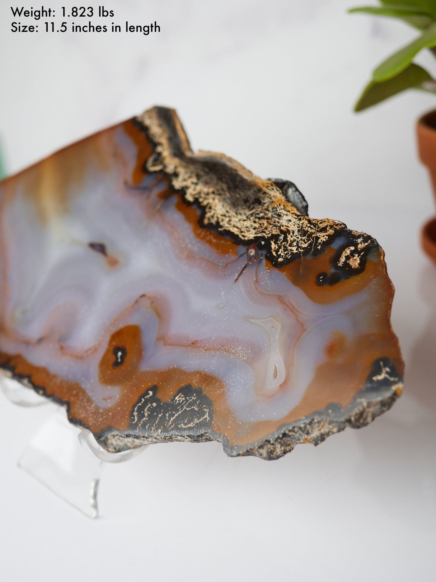 Natural Banded Agate Slab