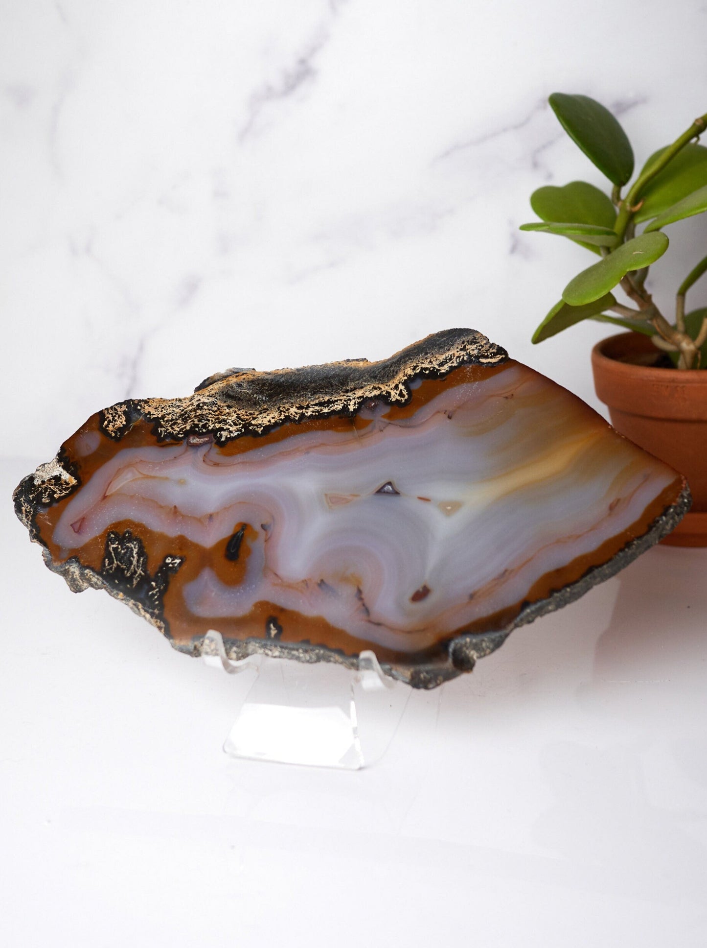 Natural Banded Agate Slab