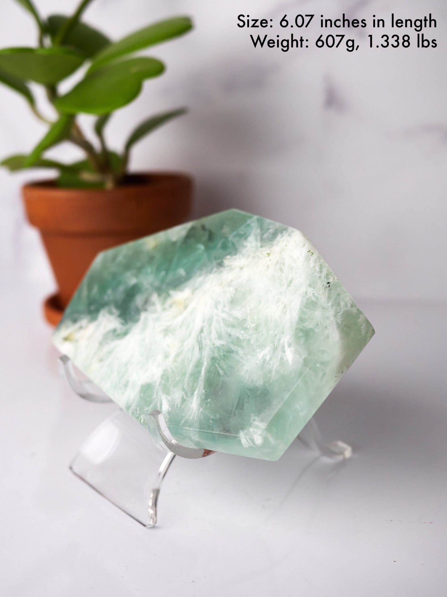 Light Green Snowflake Fluorite Polished Slab