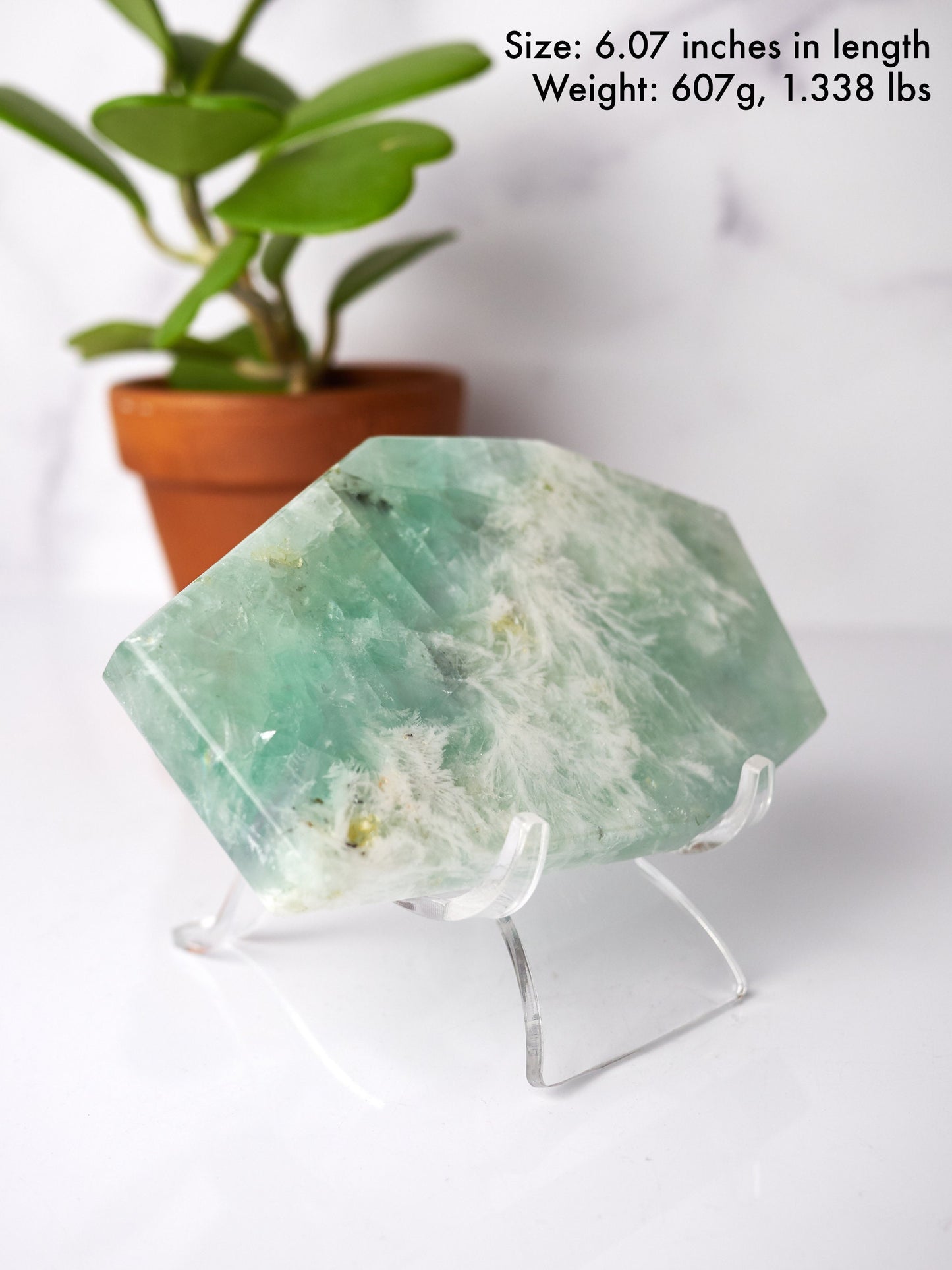 Light Green Snowflake Fluorite Polished Slab