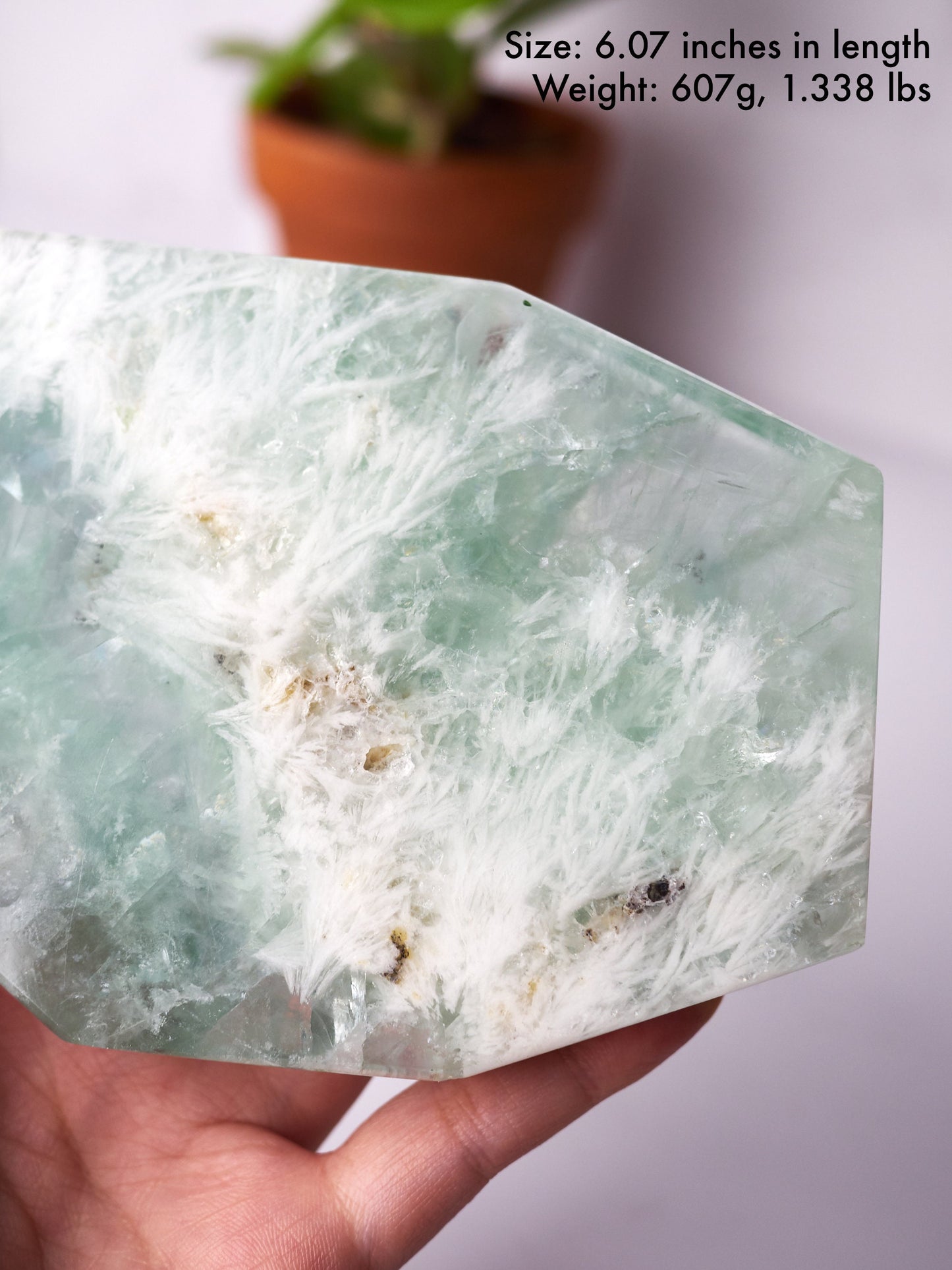 Light Green Snowflake Fluorite Polished Slab