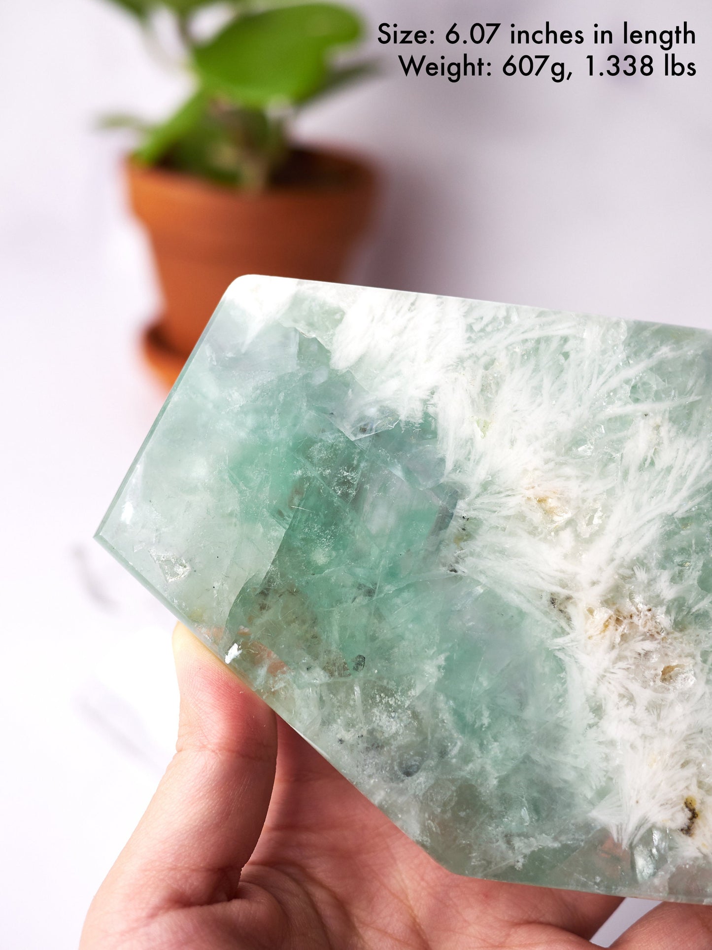 Light Green Snowflake Fluorite Polished Slab