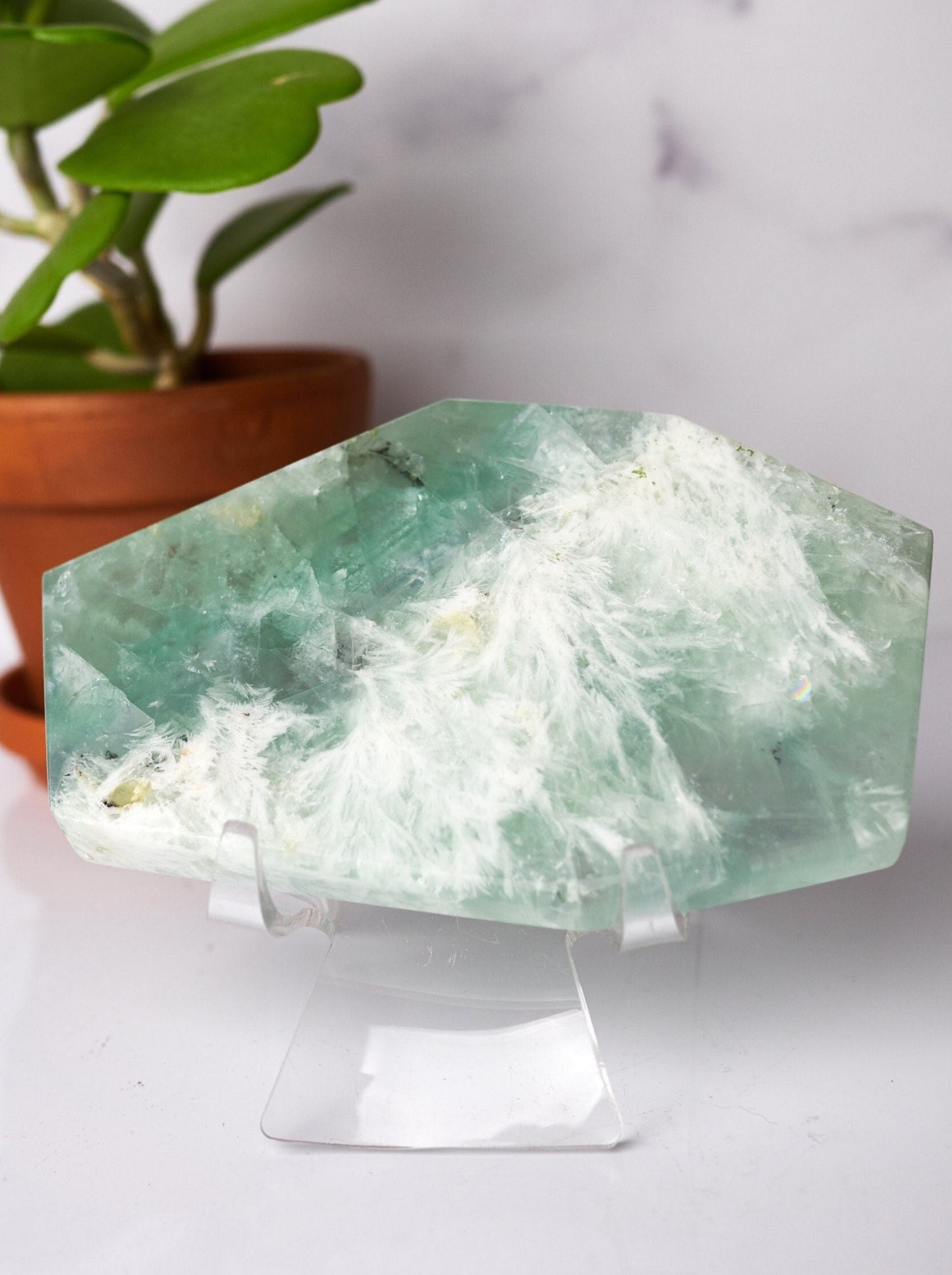 Light Green Snowflake Fluorite Polished Slab