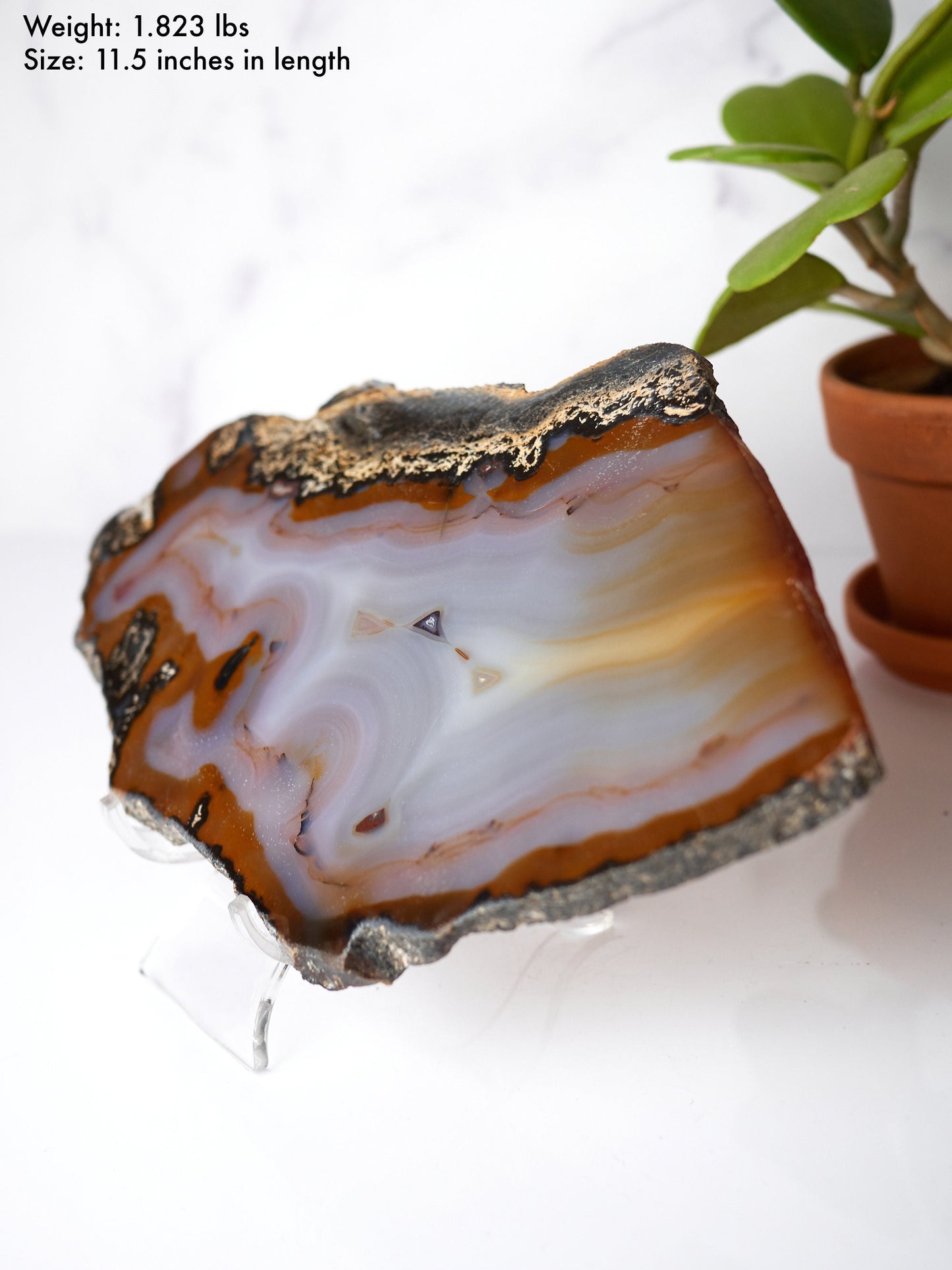 Natural Banded Agate Slab