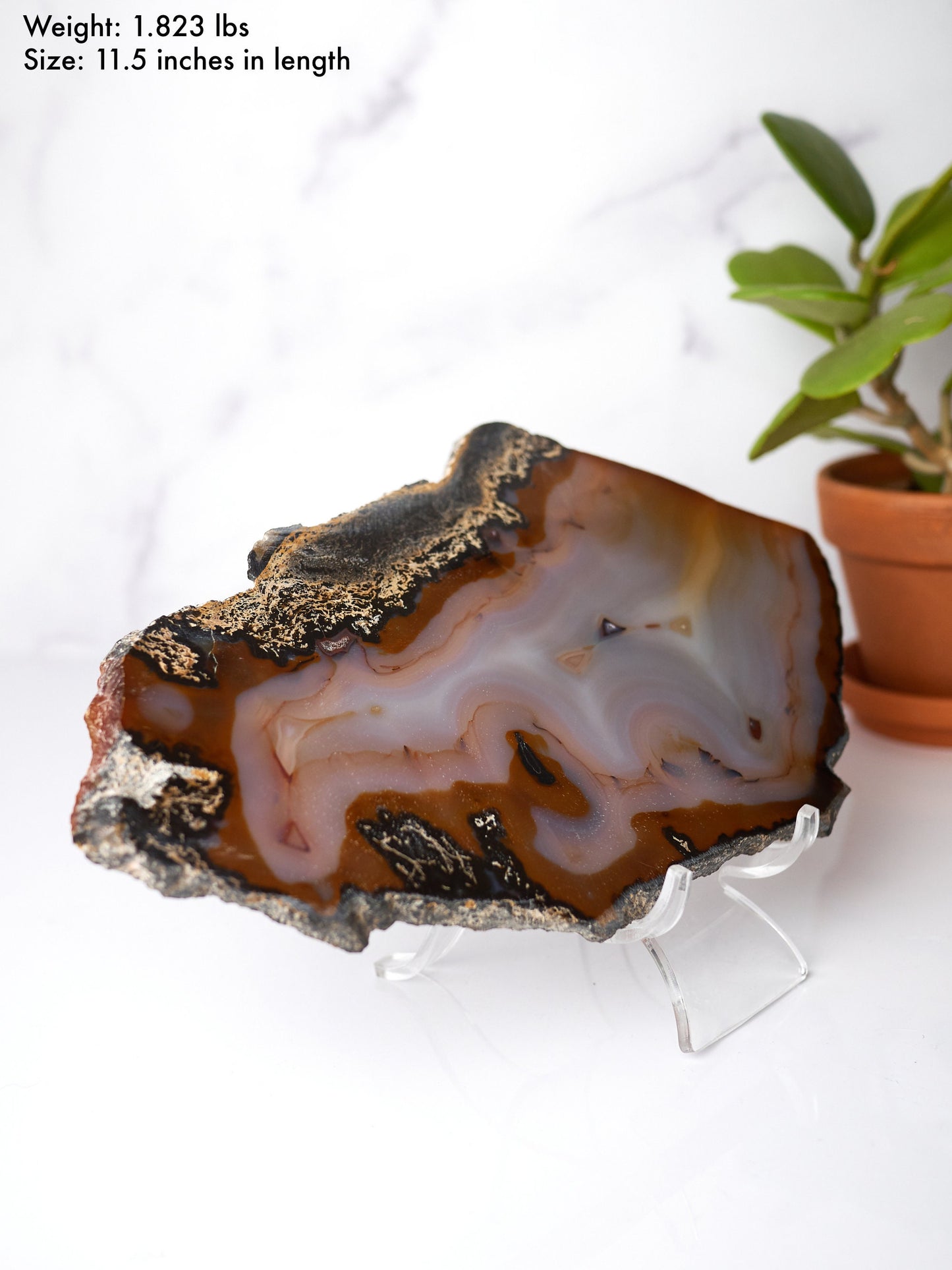 Natural Banded Agate Slab